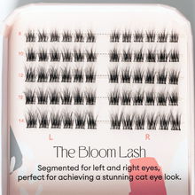 Load image into Gallery viewer, Pop-On Lashes - Bloom Black