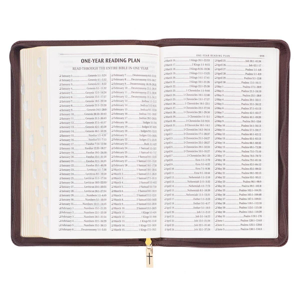 KJV Bible Deluxe Gift Faux Leather, Brown Lion w/zipper