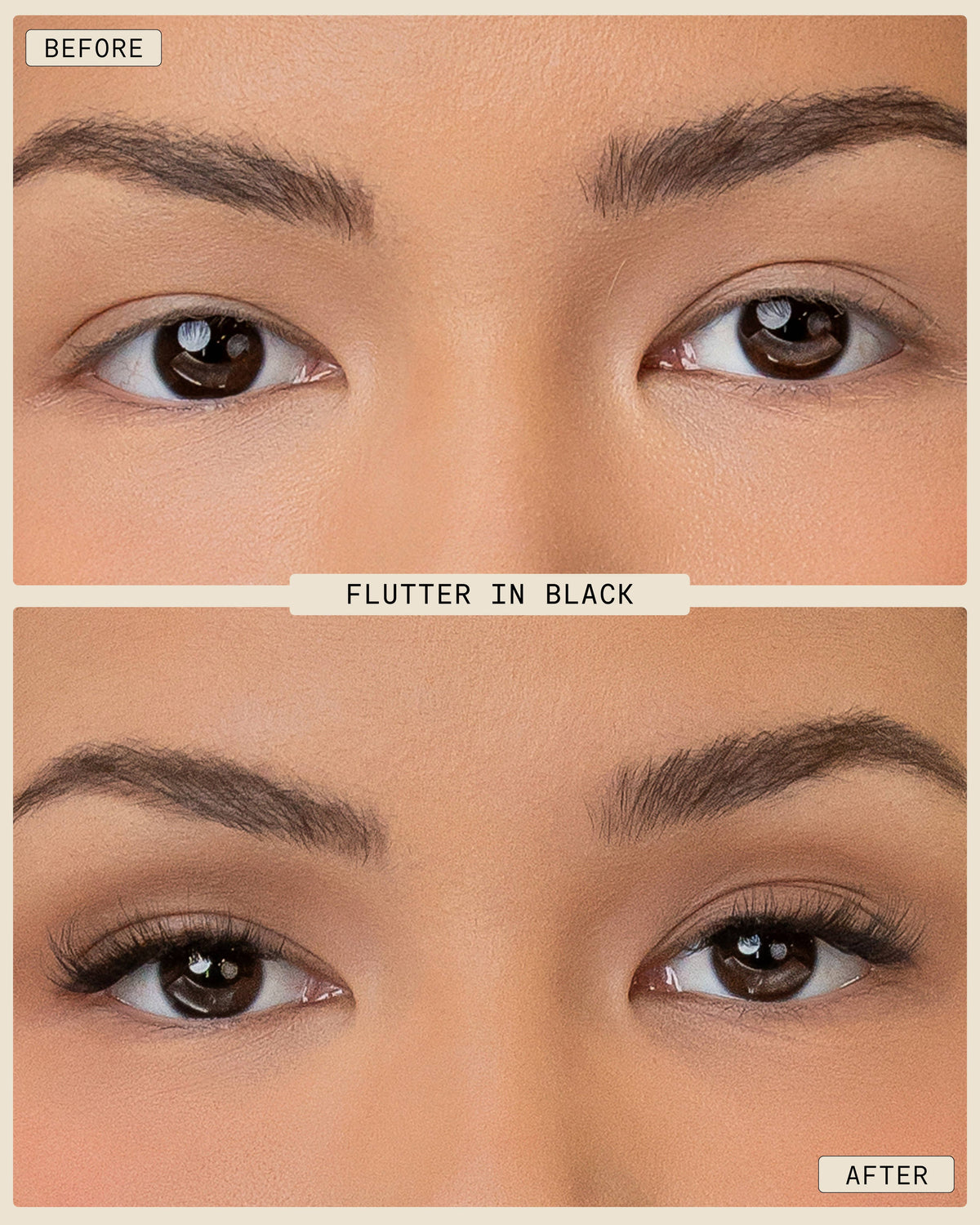 Pop-On Lashes - Flutter Black