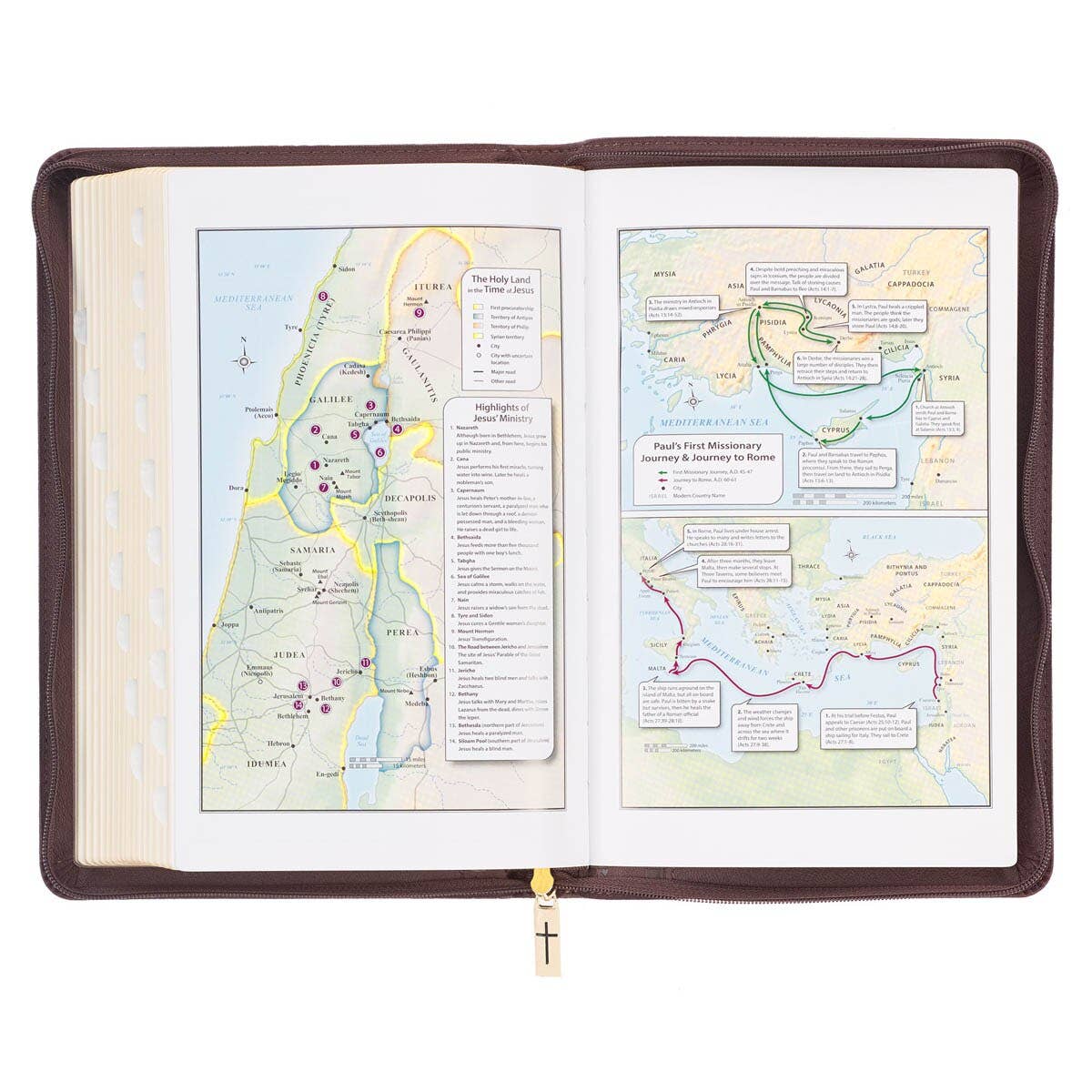 KJV Bible Deluxe Gift Faux Leather, Brown Lion w/zipper