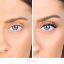 Load image into Gallery viewer, Pop-On Lashes - Bloom Black
