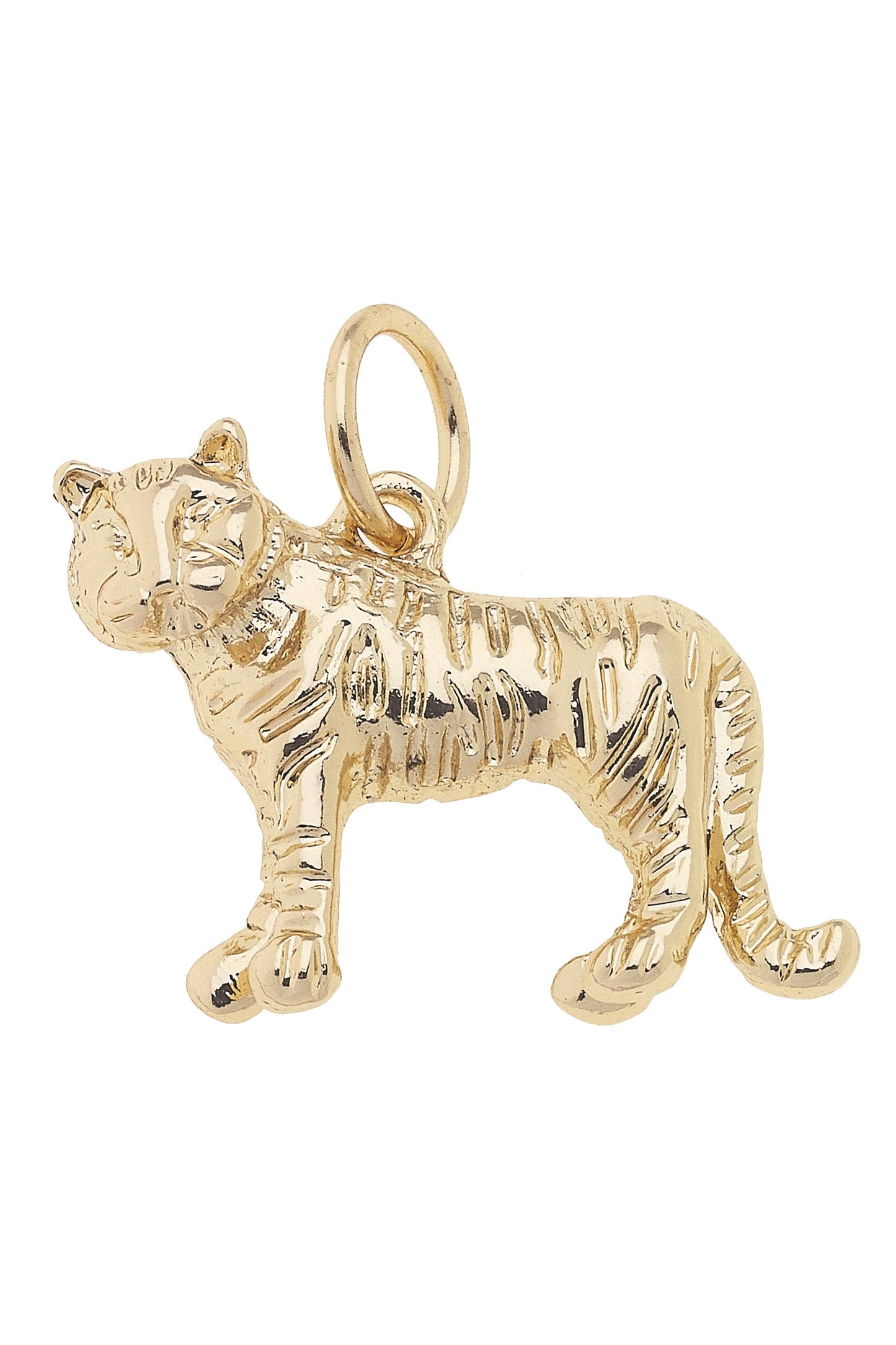 LSU CHARMs